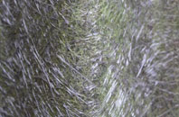 Thorpe Street fibreglass roof work