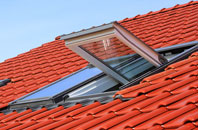 Thorpe Street roof window